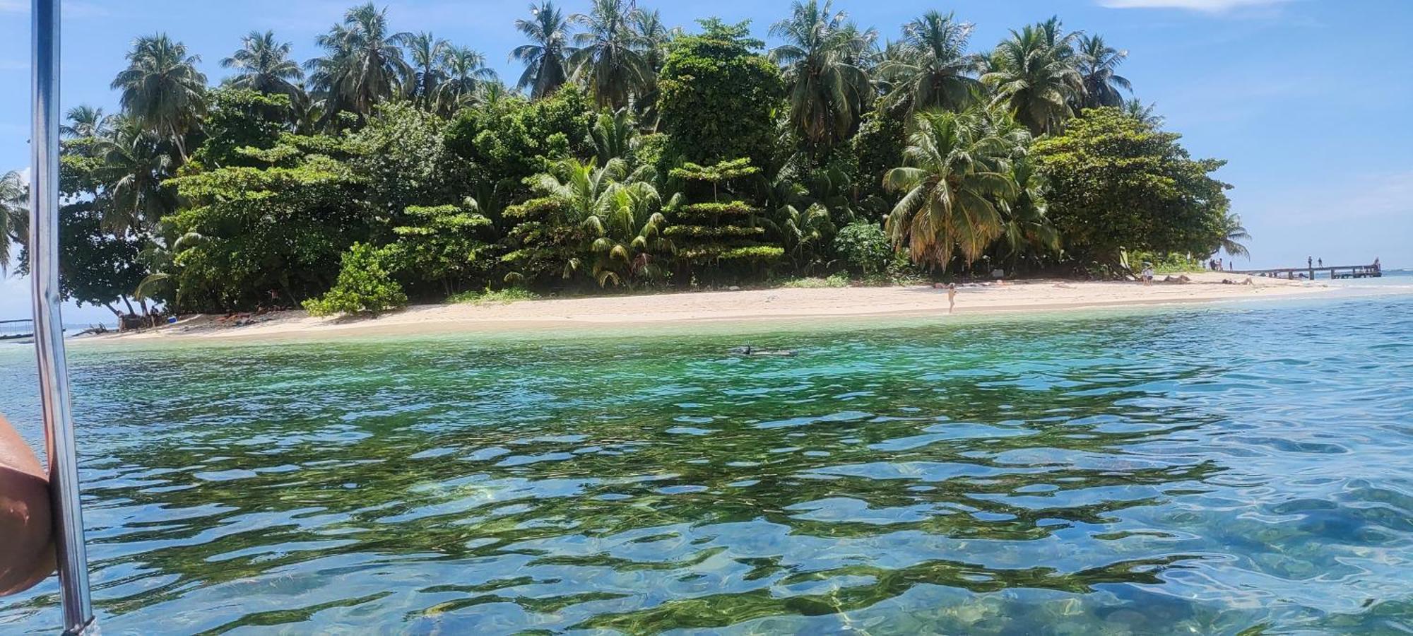 Bambu Lounge Bocas Hostel 보카스 타운 외부 사진