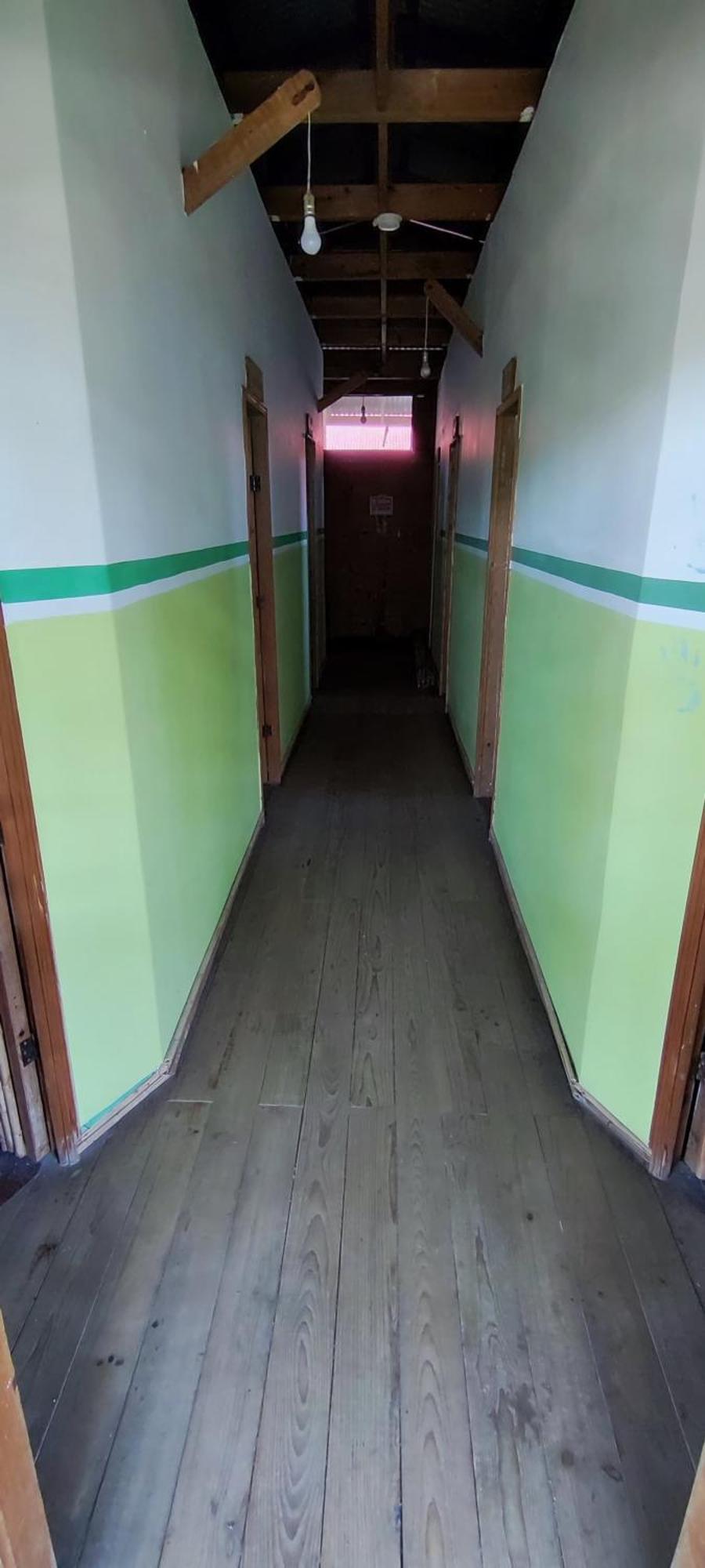 Bambu Lounge Bocas Hostel 보카스 타운 외부 사진