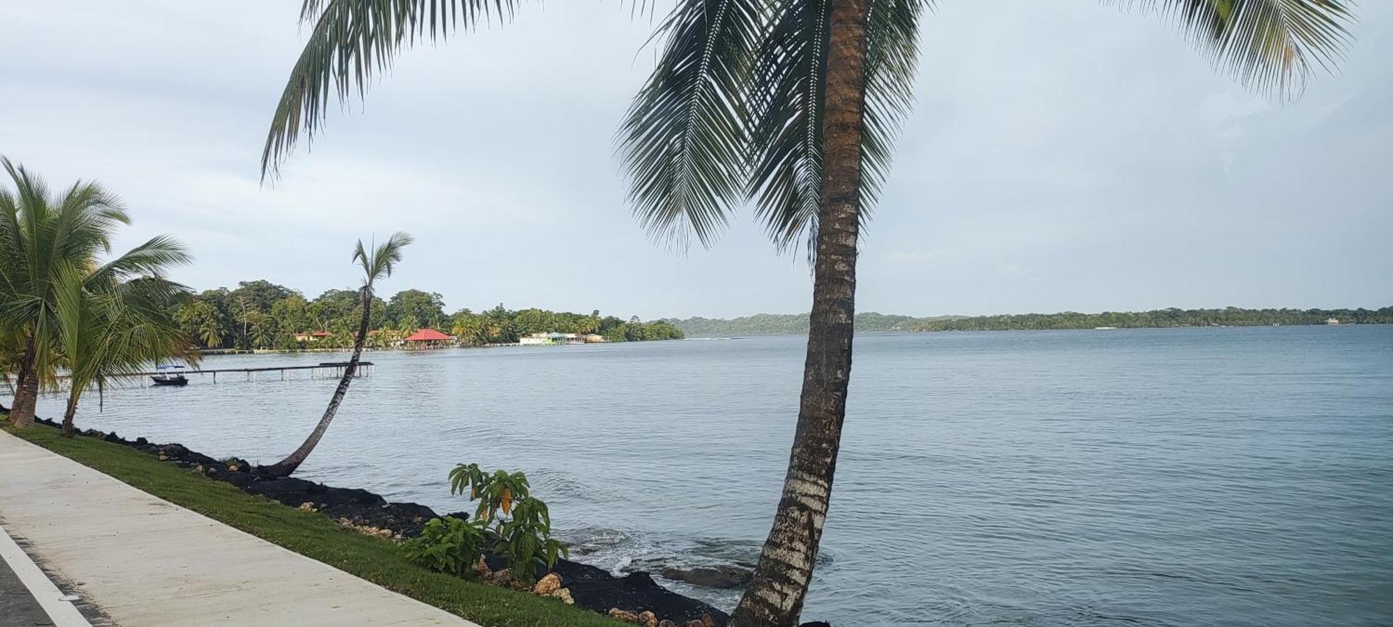 Bambu Lounge Bocas Hostel 보카스 타운 외부 사진