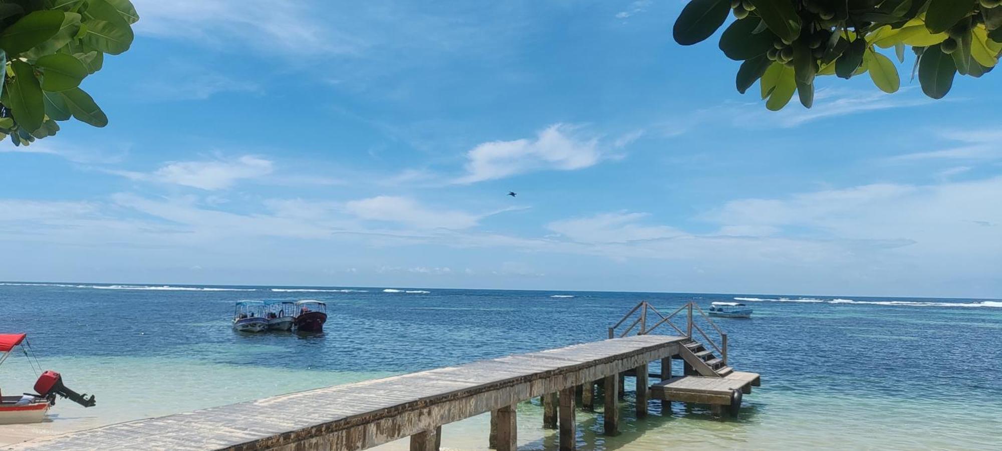 Bambu Lounge Bocas Hostel 보카스 타운 외부 사진