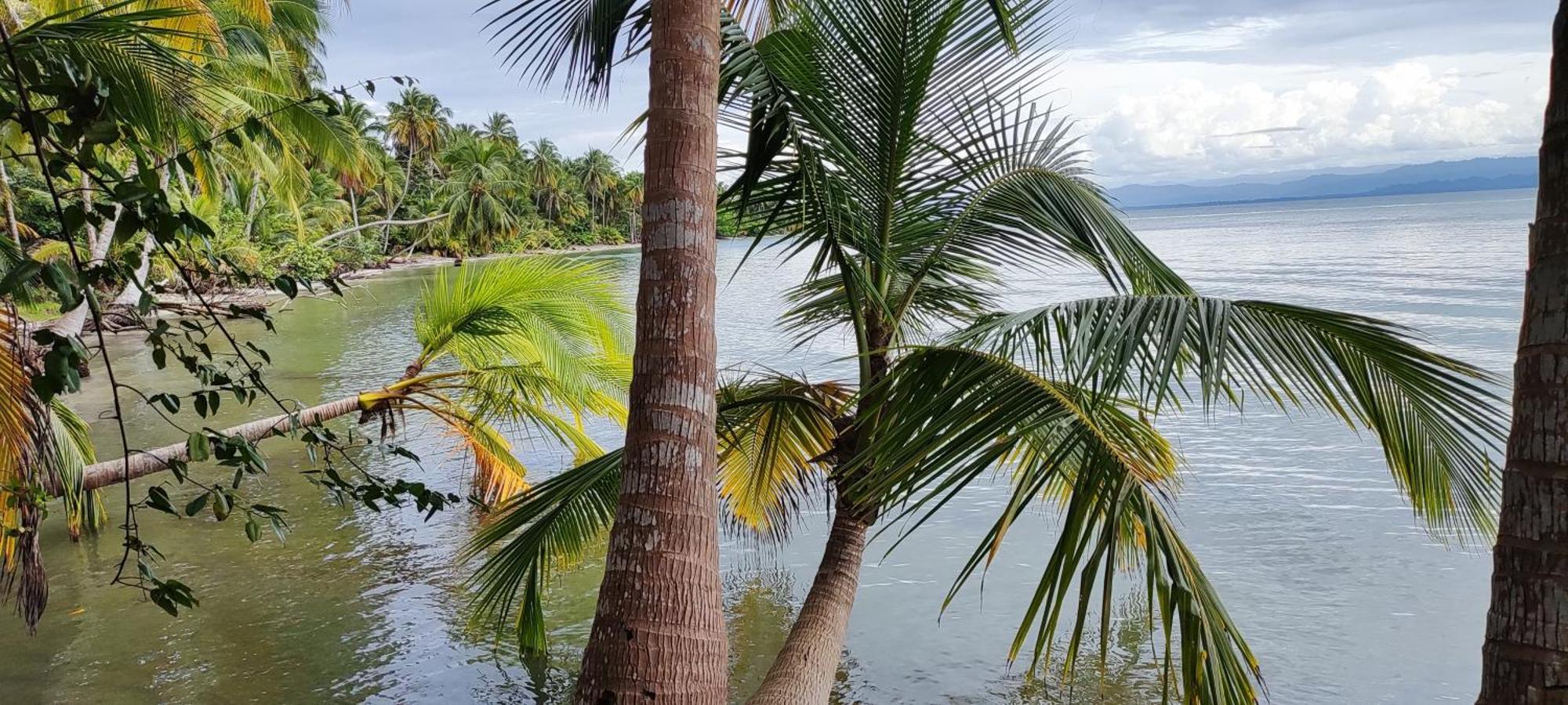Bambu Lounge Bocas Hostel 보카스 타운 외부 사진