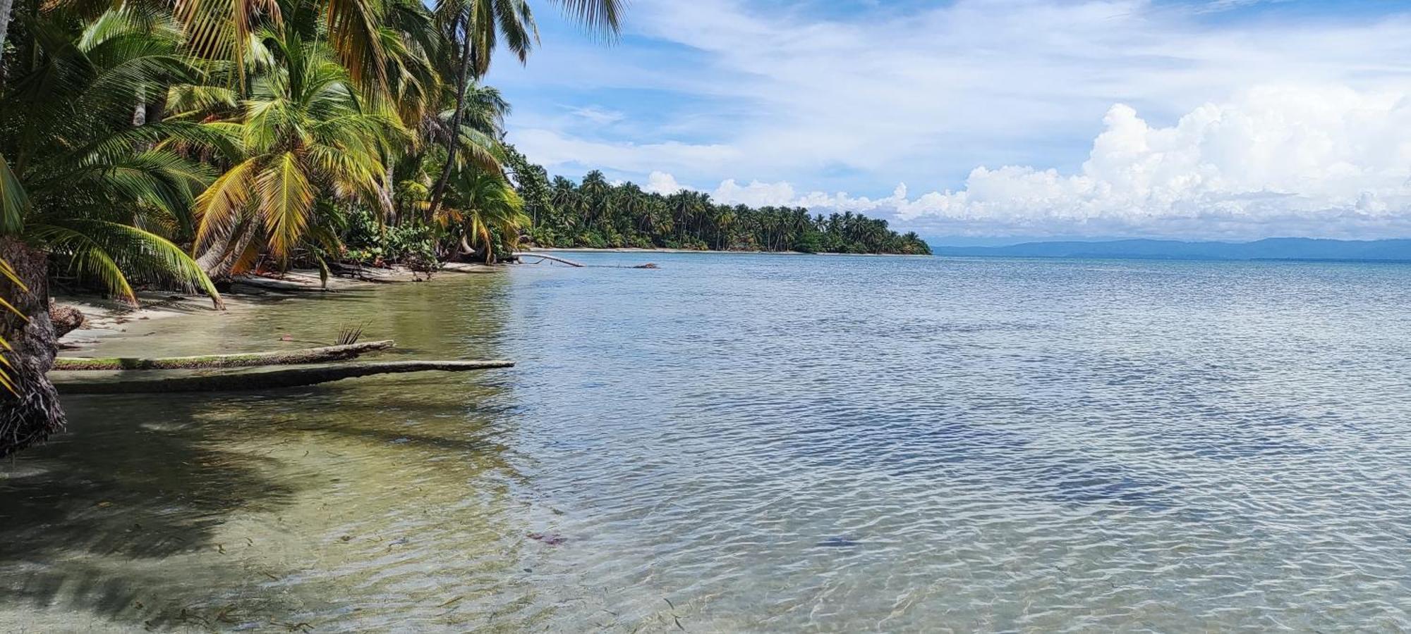 Bambu Lounge Bocas Hostel 보카스 타운 외부 사진