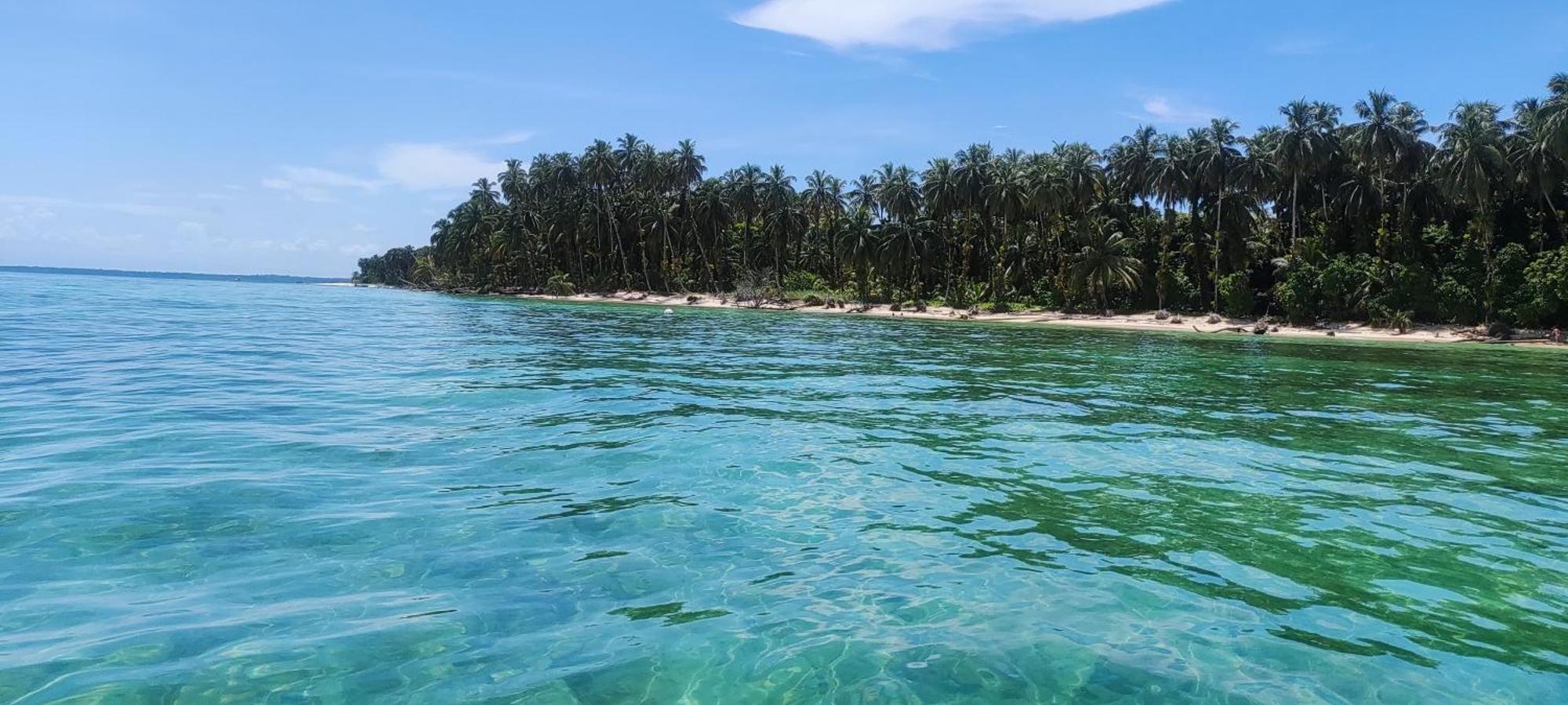 Bambu Lounge Bocas Hostel 보카스 타운 외부 사진