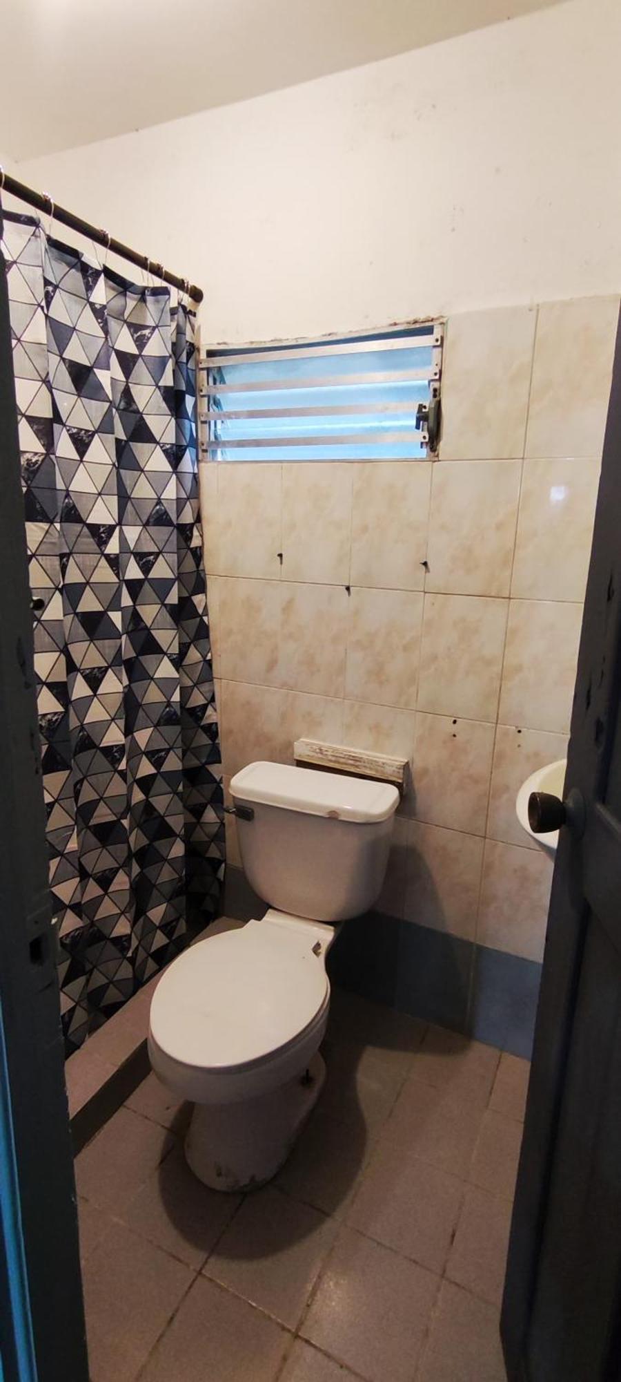 Bambu Lounge Bocas Hostel 보카스 타운 외부 사진
