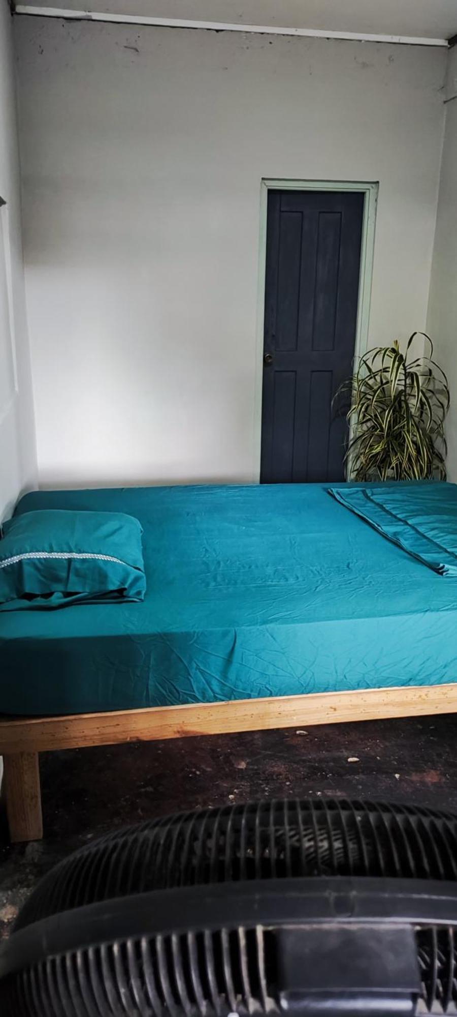 Bambu Lounge Bocas Hostel 보카스 타운 외부 사진